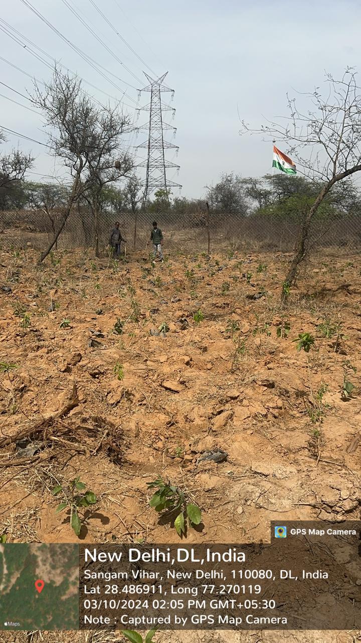 Compensatory Afforestation